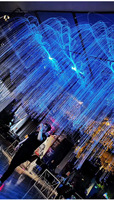 Kits de lumière de décoration à fibre optique LED commerciaux pour les décorations de restaurant et de festival de boîte de nuit