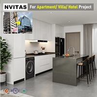 Meuble de cuisine en verre ignifuge écologique sur mesure avec robinet et panier de rangement pour appartement, idéal pour la construction de logements locatifs modernes