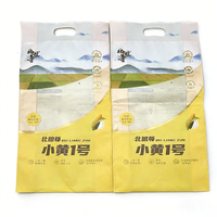 Sacs en plastique PET PE personnalisés 1 kg 2 kg 5 kg, pochette à fond plat, emballage pour aliments, céréales, poudre de blé, riz, tapioca, farine de maïs