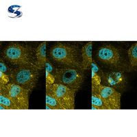 Microscopio Confocal AX/AX R con NSPARC, Utiliza Herramientas de IA de Aprendizaje Profundo para Simplificar la Adquisición de Imágenes y Mejorar la Calidad de Imagen