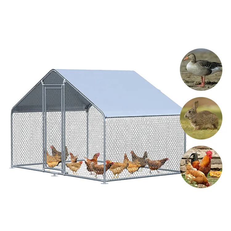 Cheap Big Hen House Metal Roof Chicken Coop E Run Para 20 Galinhas Grandes