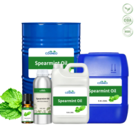 Huile Essentielle de Menthe Verte Pure (Mentha Spicata) 1KG en Gros de l'Usine d'Origine – Huile de Menthe Premium pour Cosmétiques et Soins Capillaires – Vente en Gros