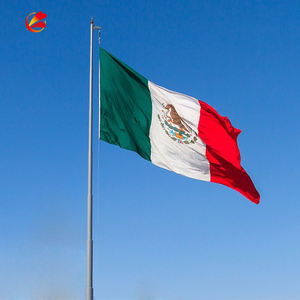 高品质定制廉价各种尺寸墨西哥国旗