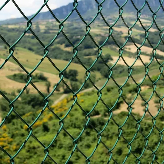Fabrika doğrudan fiyat örgü örgü çit 50M rulo Pvc kaplı tel zincir bağlantı çit