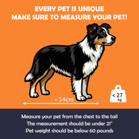 Siège auto pour chien Pawise, grand espace confortable, imperméable, en tissu Oxford respirant et résistant à l'usure, pour SUV et camions
