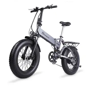 Paige Elektrische Opvouwbare Bike 1000W E 2 Wiel Fiets Us Eu Magazijn Stad E-Bike Goedkope Promax E-Fiets Ebike