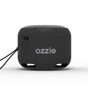 Mạnh Mẽ Nhựa Ngoài Trời Di Động Không Dây Có Thể Sạc Lại Chất Lượng Cao Loa Với Dsp Loa Siêu Trầm Và Ghép Nối Kép - Product Image 2