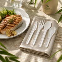 Vente directe usine – Ensemble de couverts jetables robustes et compostables en bagasse de canne à sucre (couteau, fourchette, cuillère) pour compagnies aériennes