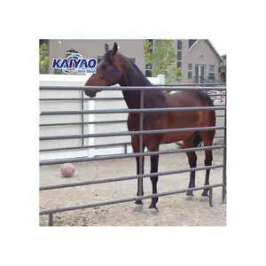 Panel pagar logam galvanis berlapis PVC kualitas tinggi stok kedua untuk kuda dan jenis pagar keamanan peternakan
