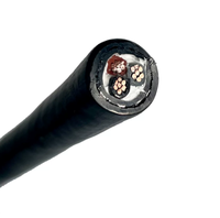 Câble flexible multiconducteur ignifuge gainé de PVC conforme aux normes nationales, recouvert de caoutchouc pour applications minières mobiles