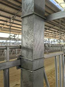 Équipements et accessoires pour fermes d'élevage bovin, composants pour laiteries, berceaux, racks pour fermes laitières - Product Image 2
