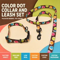 Ensemble collier et laisse pour animaux de compagnie en polyester enduit de PVC, taille personnalisée, logo et emballage, pour programmes d'accessoires de promenade – Fournisseur direct usine