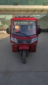 Motocarro Multiusos de Combustible Zongshen con Neumáticos Anchos Antideslizantes <span class=keywords><strong>para</strong></span> Transporte de Pasajeros y Mercancías - Product Image 6