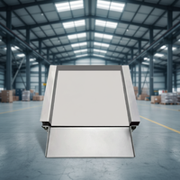 Plateforme de pesage LCD ultra-basse PL, hauteur 35 mm, personnalisable OEM, rampes simples ou doubles en option pour le pesage de palettes et de chariots élévateurs