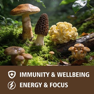 ODM OEM Mushroom Coffee with 10-Mushroom Extract Blend Support Optimal Health Immunity Wellbeing <b>Protein</b> Mushroom Coffee - Product Image 5
