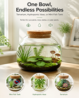 Terrarium en verre borosilicate transparent avec couvercle en liège pour plantes succulentes, mousse, hydroponie et petit aquarium - Décoration de bureau