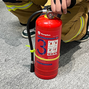 Extintor de Incendios ABC de 3 kg, Polvo Extintor al por Mayor - Product Image 1