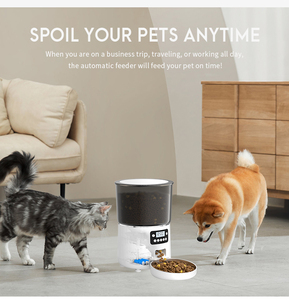 Meilleure vente 4L automatique mangeoire pour animaux de compagnie intelligent chien chat bols minuterie arrondi poissons d'eau en gros charge automatique Machine d'alimentation - Product Image 3