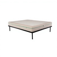 Ensemble matelas à ressorts ensachés et sommier à lattes métalliques en gros – Fabricant OEM de meubles / Projets hôteliers et d'appartements
