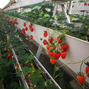 Grand système hydroponique vertical NFT en PP de qualité alimentaire, canal en plastique double couche pour laitue, herbes et légumes, avec 90 % d'économie d'eau - Product Image 5
