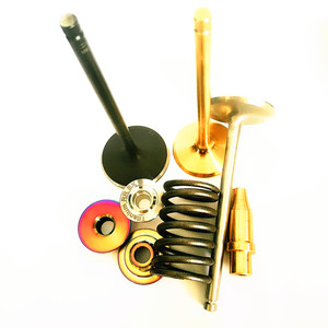Vannes d'échappement haute performance, ressorts, pour citroën <span class=keywords><strong>Saxo</strong></span> 1.6 16V, VTS, peugeot Tu5 Tu5j4, Tu5jp4, pièces détachées - Product Image 5