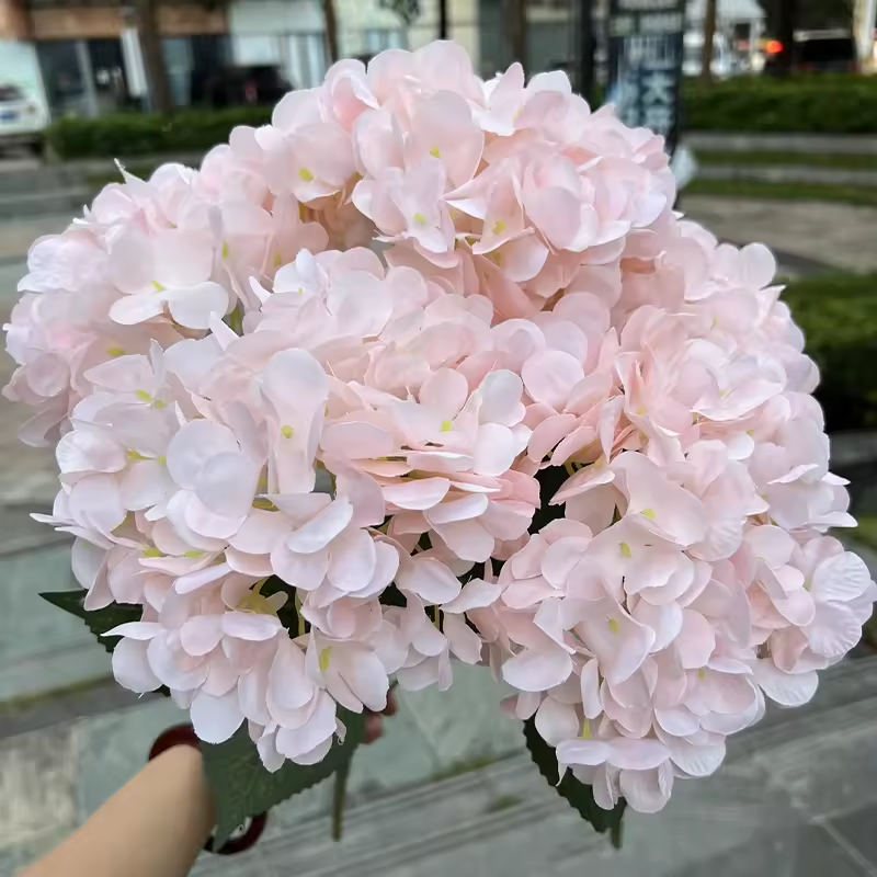 5# Viande rose