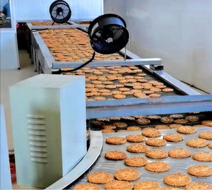 Gıda soğutma konveyör hattı malzeme taşıma ekipmanları için fabrika doğrudan yeni paslanmaz çelik konveyör - Product Image 6