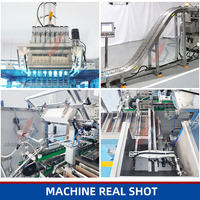 Machine d'emballage automatique multi-voies pour cartons de poudre de noix de coco en sachets