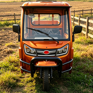 Tricycle <span class=keywords><strong>de</strong></span> <span class=keywords><strong>transport</strong></span> agricole et d'élevage certifié EEC COC CE, 1500w électrique, consommation <span class=keywords><strong>de</strong></span> carburant nulle, EEC / COC / L2e-U - Product Image 1
