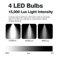 Lampe LED à ombre montée au plafond, 4 ampoules LED, lampe d'opération dentaire pour chirurgie, LED dentaire