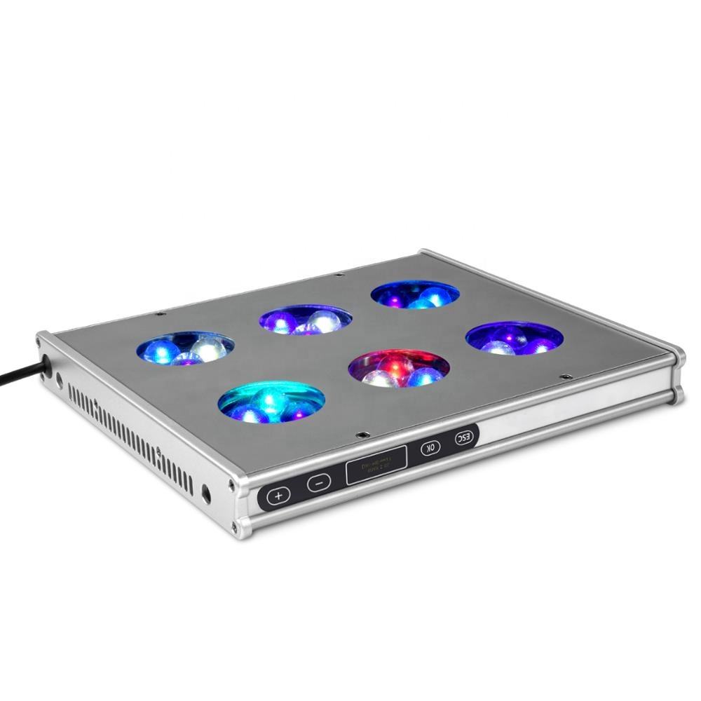 cocker spaniel toy poodle