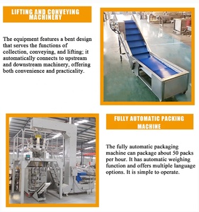 Linea di Produzione Automatica di <span class=keywords><strong>Patatine</strong></span> <span class=keywords><strong>Fritte</strong></span> Congelate DY con <span class=keywords><strong>Disegni</strong></span> Forniti, Capacità 200-3000kg/h - Product Image 6