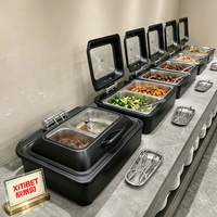 Hotel-Restaurant Buffet-Server Catering Chafing Dish Edelstahl Warmhaltebehälter Buffet-Set Speisenwärmer 9L Elektrisch Beheizt Schwarz