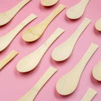 Cuillères à dessert jetables en bambou biodégradable écologiques, sûres pour les aliments, durables, faible MOQ, directement de l'usine, pour pique-nique