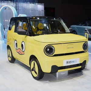 Aodahang GEELY Panda Mini Ev araba 4 kişilik uygun fiyat araba yeni enerji araçlar elektrikli araba yetişkin