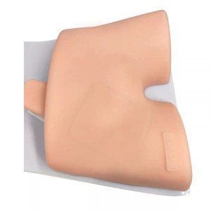 Simulador de Treinamento Médico ECMO para Treinamento de Punção de Artéria <span class=keywords><strong>Femoral</strong></span> e Veia Guiada por Ultrassom - Product Image 2