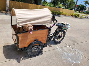 Famille cargo tricycle trois roues tricycle adulte prenant enfants <span class=keywords><strong>vélo</strong></span> <span class=keywords><strong>4</strong></span> enfants sièges boîte en bois moto - Product Image 5