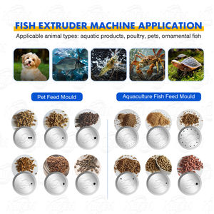 Pesce gatto <span class=keywords><strong>mangime</strong></span> Pallet galleggiante cane secco <span class=keywords><strong>Bulldog</strong></span> <span class=keywords><strong>francese</strong></span> Golden Retriever Food Machine macchinari <span class=keywords><strong>per</strong></span> la lavorazione di mangimi <span class=keywords><strong>per</strong></span> animali - Product Image 5