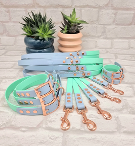 Correa de perro de <span class=keywords><strong>color</strong></span> combinado a la moda con <span class=keywords><strong>collar</strong></span> a juego con gancho bonito soporte de plomo de perro impermeable duradero personalizar <span class=keywords><strong>Color</strong></span> y tamaño - Product Image 4