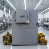 Automatische PLC-gestuurde warmtepomp fruitdroogmachine voor fruitchipsfabriek
