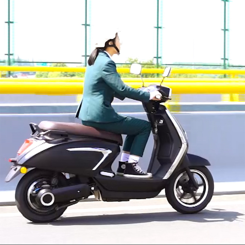600W 800W Disc Brakes Electric Motorbike