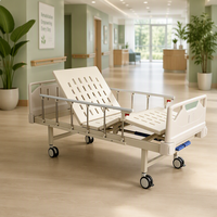 Lit d'hôpital avec porte-carte patient, plateau à fente oblongue, cadre à quatre sections, roulettes bleues avec frein pour usage quotidien en chambre d'hôpital