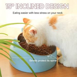 Cuencos de comida de agua para mascotas de plástico de gatito de dibujos animados de alta calidad Cuenco de gato inclinable de Metal de acero inoxidable - Product Image 3