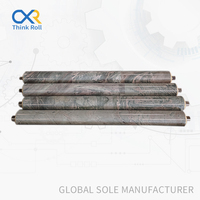 Rouleaux de convoyeur antiadhésifs pour usines d'aluminium, adhérence améliorée, garantie de 4 ans, ThinkRoll OEM CE