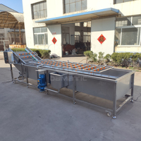 Fruit Groenten Aardbei Oranje Tomaat Ui Mango Machine Was En Droogproces Productielijn