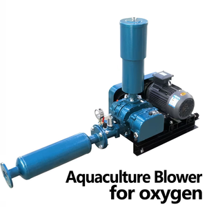 Long Life High Quality Roots Blower For Fish Farming Aquaculture And Waste Water Treatment - Product Image 1