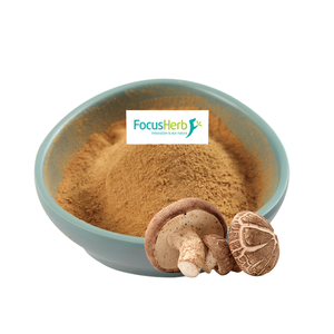 FocusHerb Extracto de hongo Shiitake orgánico en polvo Beta D-Glucano - Product Image 1