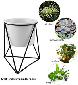 Dropshipping Petit support de jardinière <span class=keywords><strong>en</strong></span> métal Récipient d'intérieur succulent <span class=keywords><strong>en</strong></span> céramique pour décoration de bureau de balcon de cuisine de ferme-pour jardins - Product Image 2