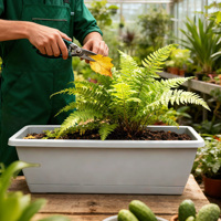 Pots de plantes en plastique PP carrés de grande taille à arrosage automatique, trou de drainage, design minimaliste durable, pour sol, bureau, maison, utilisation en extérieur/intérieur
