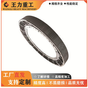 Especialistas en Anillos de Engranaje Grandes y Medios de Acero Fundido No Estándar Directamente de Fábrica - Product Image 5